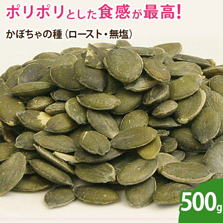 かぼちゃの種（ロースト・無塩） 500g