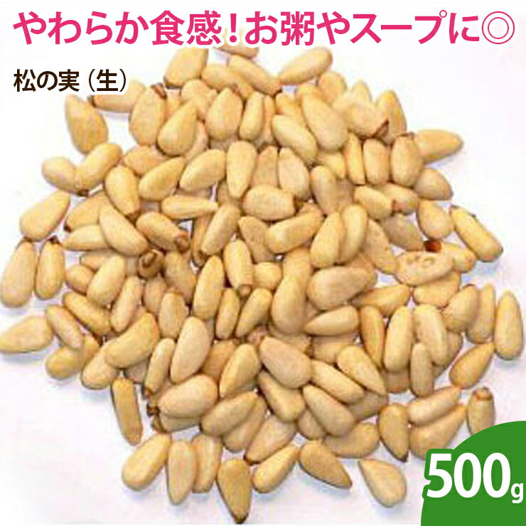 松の実（生） 500g 無添加 ナッツ