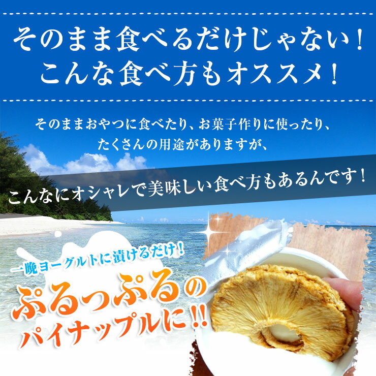 無添加ドライパイン100gドライパイナップル無添加砂糖不使用02P18Jun16