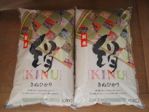 【新米】【1年産】滋賀県産キヌヒカリ20kg（白米10kg×2袋）【送料無料】（一部送料別途）