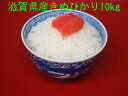 人気ランキング第9位「株式会社　とらわか」口コミ数「9件」評価「4.89」【5年産】滋賀県産キヌヒカリ10kg【送料無料】一部送料別途
