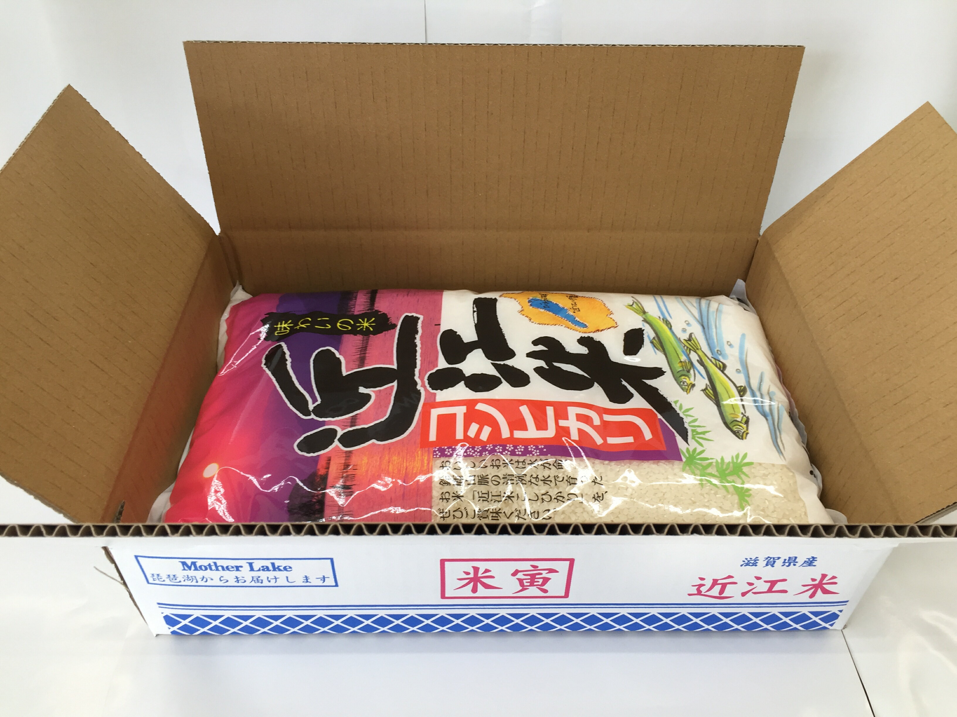 【5年産】滋賀県産 コシヒカリ5kg【送料無料】一部送料別途