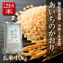 【新米】【令和5年度・愛知県豊橋産】あいちのかおり・10kg・節減対象農薬6割減・玄米　激安！