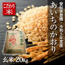 【新米】【令和5年度・愛知県豊橋産】あいちのかおり・20kg（10kg×2袋）まとめ買い・節減対象農薬6割減・玄米　激安！