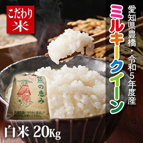 【新米】【令和5年度・愛知県豊橋産・送料無料！（一部地域を除