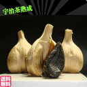 青森県産 熟成黒にんにく 青森 サプリ 黒ニンニク 国産 個包装 6球 送料無料 ギフト プレゼント 熨斗 青森産 にんにく ホワイト六片 国産 無添加 低温熟...