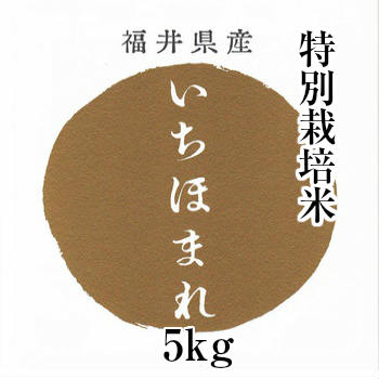 【満天 青空レストラン】平成30年産 福井県産 特別栽培米 いちほまれ米 5kg 送料無料