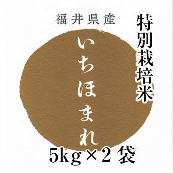 【しゃべくり007で紹介】【満天 青空レストラン】30年産 福井県産 いちほまれ米1...