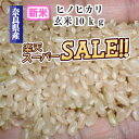 玄米 10kg 送料無料 令和元年産 奈良ひのひかり 玄米10キロ送料無料