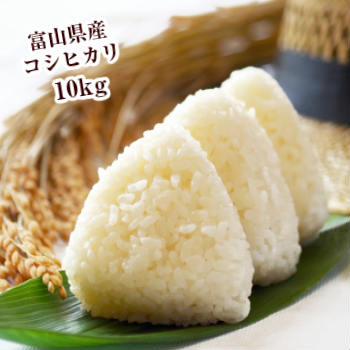 富山米 コシヒカリ 5kg×2袋 富山県産 令和元年産...