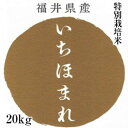 いちほまれ 20kg (5kg×4袋) 特別栽培米 福井県産 新米 ギフト 贈答　内祝い お祝い