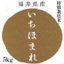 いちほまれ 福井産 令和元年 送料無料 新米 お米 5kg コンペ景品 おにぎり 米 お弁当用 贈答 内祝い お祝い