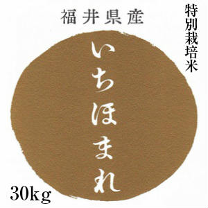 いちほまれ 令和2年 30kg 特別栽培米 福井県産 ギフト おもたせ 贈答 内祝い...