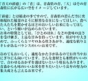 【お買い物マラソン 全品ポイント2倍】青天の霹靂 晴天の霹靂 米 10kg 白米 精米 高級 玄米 令和5年 お米 母の日 父の日 お中元 御中元 ギフト のし 熨斗無料 送料無料 特a おいしい かわいい 新食感 白米 10キロ 贈答 内祝い お祝い 引っ越し 挨拶 3