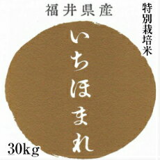 ق܂ ʍ͔|  30kg     䌧Y Mtg j  oYj TԂ j zA j 肪Ƃ