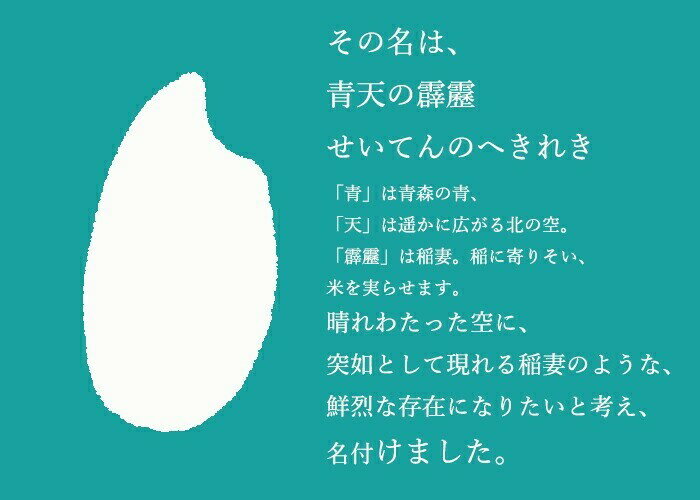 サンプル画像3