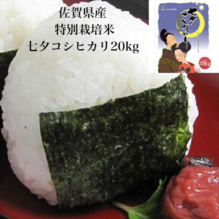 【3/11迄 最大2,000円OFFクーポン有】米 20kg(5kg×4) 特別栽培米 佐賀県産 七夕コシヒカリ 令和3年 ギフト お土産 贈答 内祝い お祝い おもたせ