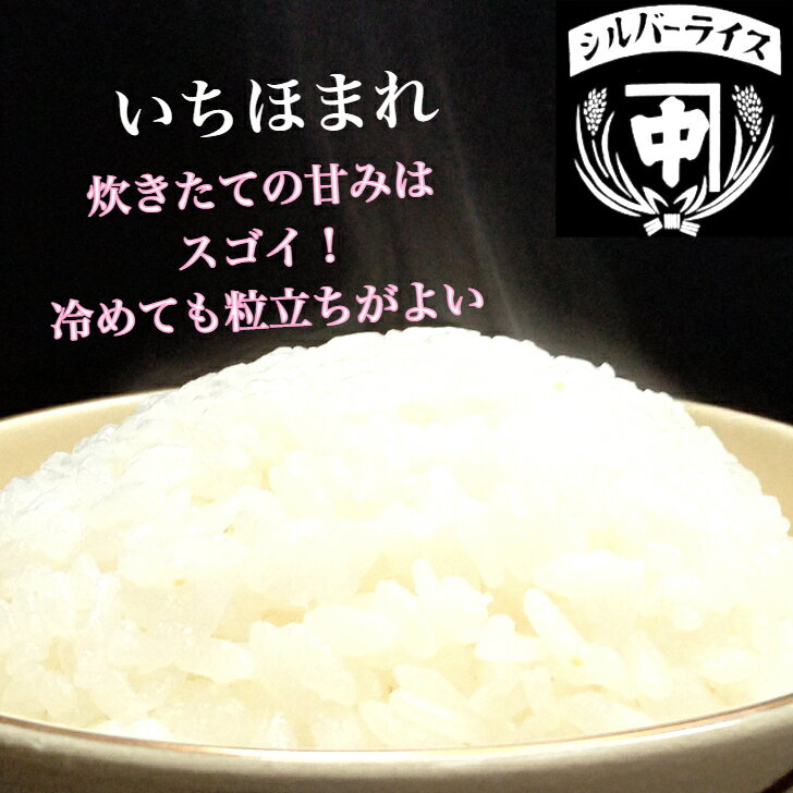 【お買い物マラソン限定 150円offクーポン 】いちほまれ 新米 令和5年 玄米 30kg 送料無料 米 お米 白米 特別栽培米 米 特a ギフト 福井県産 おもたせ 贈答 内祝い お祝い 3