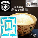 青天の霹靂 晴天の霹靂 5kg×5 送料無料 玄米 白米 kome 米 特a 令和5年 お米 引っ越し 挨拶 米 ギフト 内祝 出産内祝い 単一原料米 39..