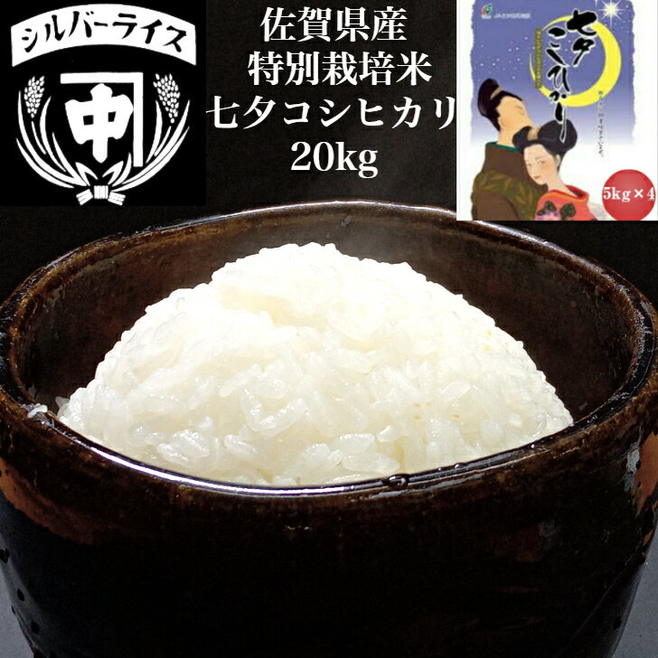 こしひかり コシヒカリ 特別栽培米 20kg(5kg×4) 佐賀七夕 令和5年産 特別栽培米ギフト お土産 贈答 内祝い お祝い おもたせ