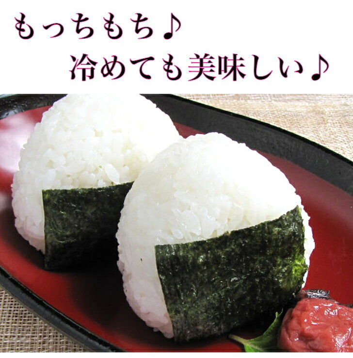 奈良産 ヒノヒカリ ひのひかり 米 30kg 真空パック 送料無料 白米 玄米 令和3年産 30キロ お米 ごはん 高級 備蓄米 保存米 単一原料米 保存食 美味しい 内祝い 贈り物 贈答用 ギフト 小分け対応