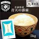 青天の霹靂 晴天の霹靂 5kg 送料無料 特a お米 こめ 玄米 白米 精米 令和5年 母の日 父の日 お中元 御中元 ギフト のし 熨斗無料 内祝 引越し祝い 新食感 かわいい おしゃれ さっぱり おかずに合う 趣味どきっ