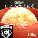 令和7年 新米 10kg 奈良県産 ヒノヒカリ ひのひかり 玄米 10キロ 真空パック可 送料無料 グルテンフリー 酵素玄米 胚芽米 ヴィーガン ダイエット ご飯