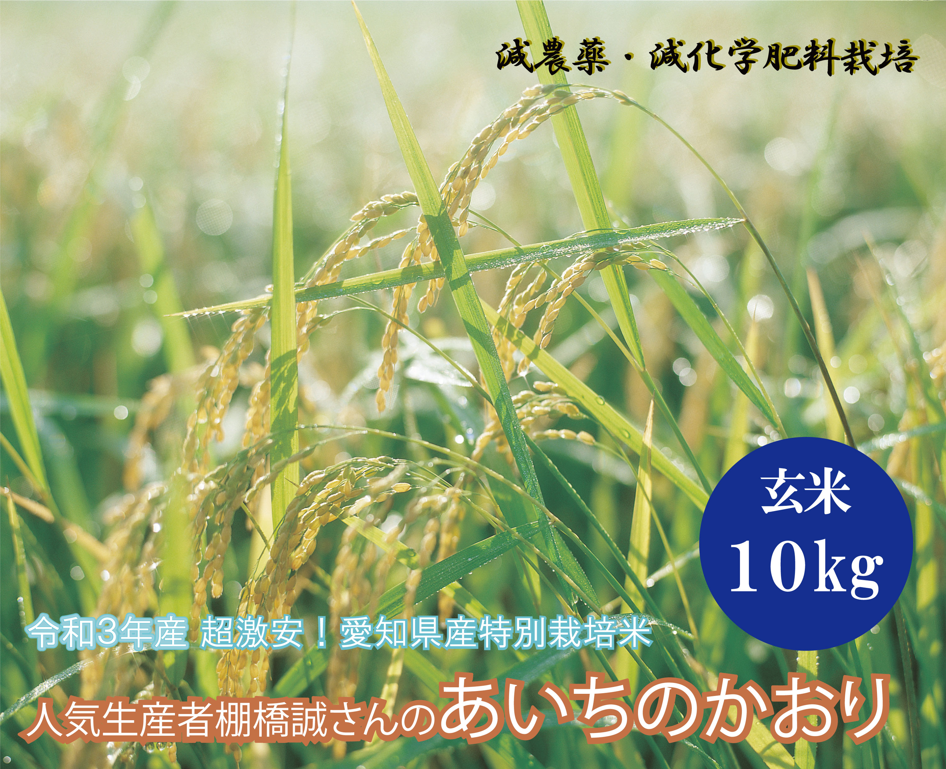 【送料無料】超激安特別栽培米　令和3年産超激安●愛知県産特別栽培米　人気生産者の棚橋誠さん『特別栽培あいちのかおり』玄米10kg（北海道・沖縄追加運賃）