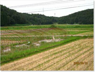 楽天市場】石川県 玄米の通販 楽天市場】石川県 玄米の通販