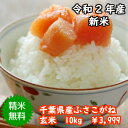 【令和2年産】新米入荷！千葉県産　ふさこがね玄米10kg（5kg×2）送料無料♪精米無料♪【♯元気いただきますプロジェクト】