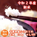 【令和2年産】千葉県産 ふさおとめ玄米10kg（5kg×2）送料無料♪精米無料♪【♯販路多様化緊急対策事業】