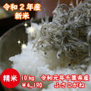 【令和2年産】新米入荷！千葉県産　ふさこがねつきたて10kg （5kg×2）♪送料無料♪【♯元気いただきますプロジェクト】