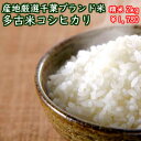 【令和元年産】産地厳選特選こしひかり 多古米　2kg※送料無料地域に除外があります※北海道・九州＋400円