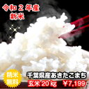 【令和2年産】新米入荷！千葉県産あきたこまち玄米20kg（10kg×2袋）送料無料♪精米無料♪小分けも無料♪【♯元気いただきますプロジェクト】