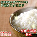 【令和2年産】数量限定！新潟産の米にも負けません！千葉を誇る銘柄米特選こしひかり　極上米★多古米★ つきたて白米25kg【本州・四国　送料無料】精米【＃販路多様化緊急対策事業】