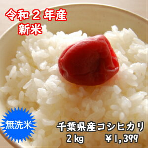 無洗米 コシヒカリ 2kg【令和2年産 千葉県産】おいしい♪手間なし♪簡単♪送料無料　2kg【＃販路多様化緊急対策事業】