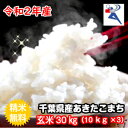 【令和2年産】千葉県産 あきたこまち玄米30kg（10kg×3袋）送料無料♪精米無料♪小分けも無料♪【♯販路多様化緊急対策事業】