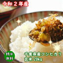 【令和2年産】千葉県産 コシヒカリ玄米20kg（10kg×2袋）送料無料 精米無料 小分け無料【♯販路多様化緊急対策事業】