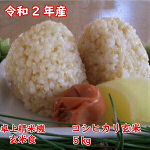 コシヒカリ 玄米 5kg【令和2年 千葉県産】【本州 四国 送料無料】精米無料【コンビニ受取対応商品】【#販路多様化緊急対策事業】