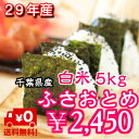 【30年産】千葉県産 ふさおとめつきたて 白米 5kg※送料...