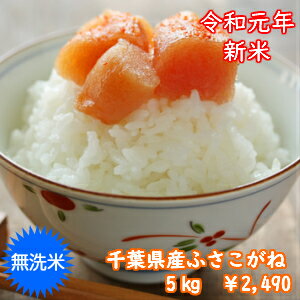 【令和1年産】無洗米　ふさこがね　5kgおいしい♪手間なし♪簡単♪※送料無料地域に除外があります※北海道・九州＋400円