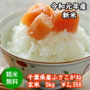 【令和元年産】千葉県産　ふさこがね 玄米5kg 送料無料♪精米無料♪※送料無料地域に除外があります※北海道・九州：+400円