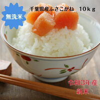 令和3年産無洗米 ふさこがね 10kg（5kg×2）千葉県産　おいしい♪手間なし♪簡単♪※本州・四国　送料無料※