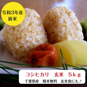 令和3年産 新米入荷!千葉県産 コシヒカリ 玄米 5kg【本州 四国 送料無料】精米無料【コンビニ受取対応商品】