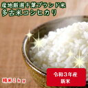 令和3年産　新米入荷！産地厳選 特選こしひかり 多古米　2kg