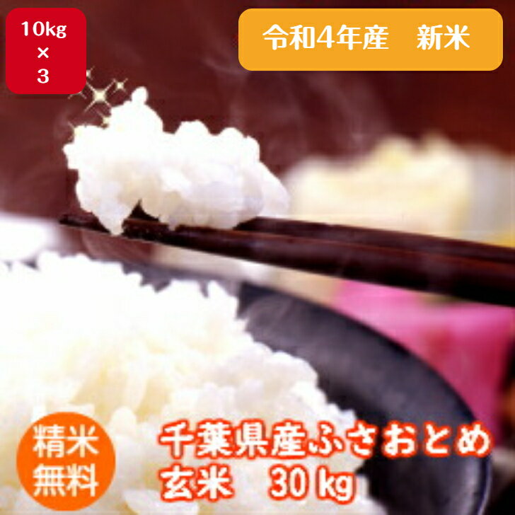 令和4年産 新米入荷！千葉県産 ふさおとめ玄米30kg（10kg×3袋）送料無料 精米無料小分け無料　沖縄発送不可のサムネイル