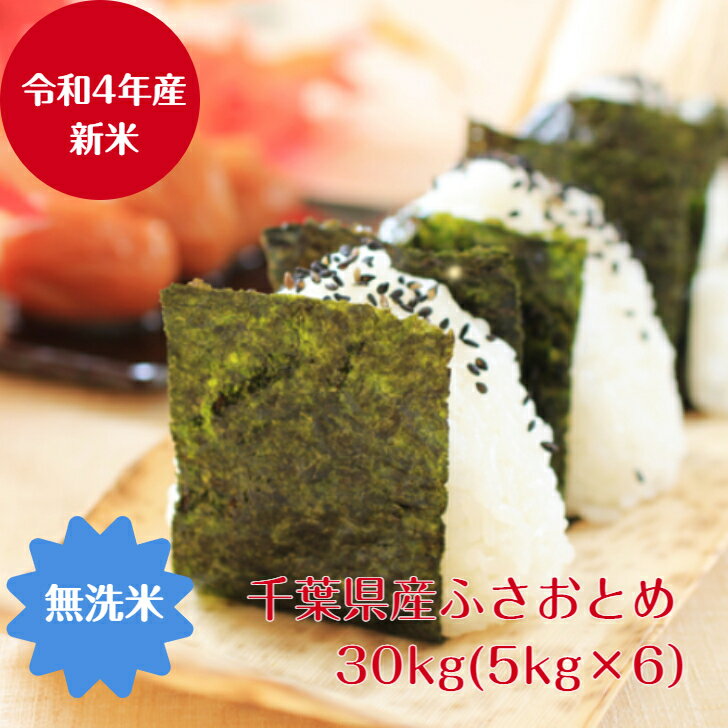 令和4年産 無洗米　ふさおとめ　30kg（5kg×6）千葉県産　おいしい♪手間なし♪沖縄発送不可のサムネイル