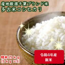 令和4年産 特選コシヒカリ数量限定！新潟産の米にも負けません！千葉を誇る銘柄米　極上米★多古米★ つきたて白米25kgうれしい小分け（5kg×5）【本州・四国　送料無料】精米