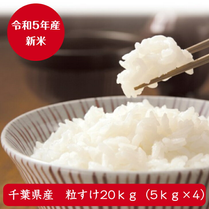 令和5年産 ちばの新品種 粒すけ無洗米 20kg（5kg×4