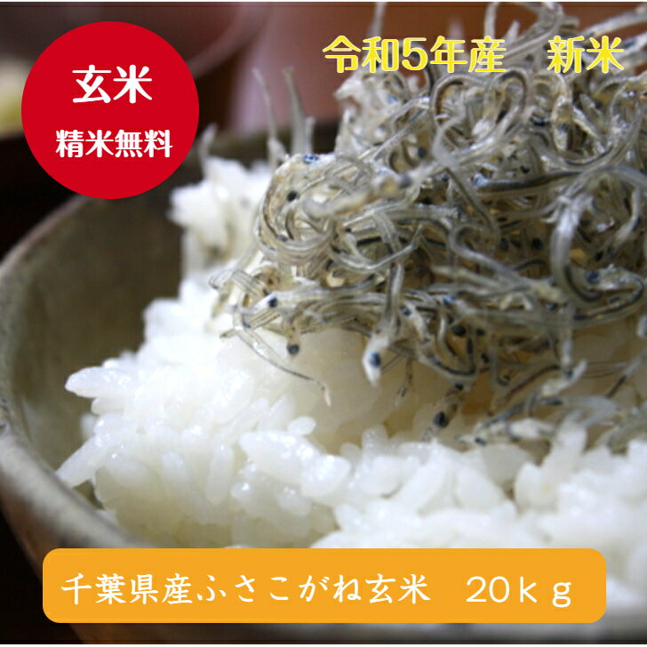 令和5年産千葉県産 ふさこがね玄米20kg 10kg 2袋 精米無料 小分け無料 【本州・四国 送料無料】 九州・北海道発送不可 